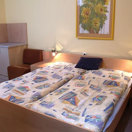 Homestay Studia Luka - Centrum Terchovej