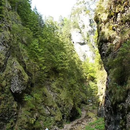 Studia Luka - Centrum Terchovej