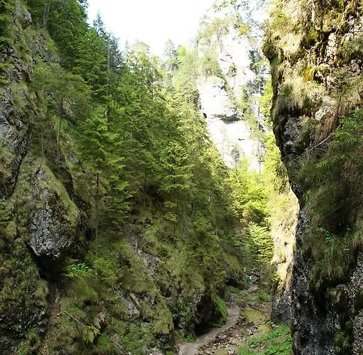 Studia Luka - Centrum Terchovej