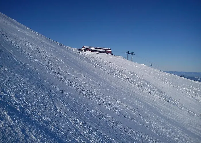 Studia Luka - Centrum Terchovej * Terchová
