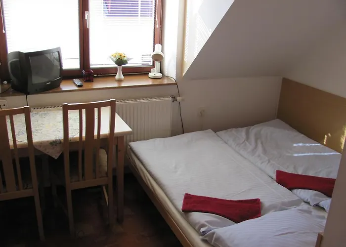 Studia Luka - Centrum Terchovej