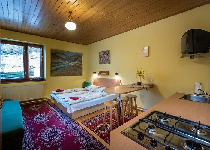 Studia Luka - Centrum Terchovej ホームステイ