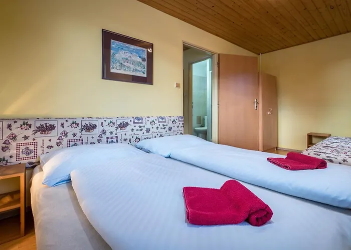 Studia Luka - Centrum Terchovej ホームステイ *